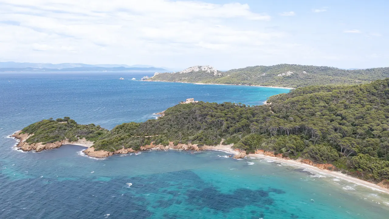 Vue aérienne d'une crique aux eaux turquoise bordée de pins sur l'île de Porquerolles