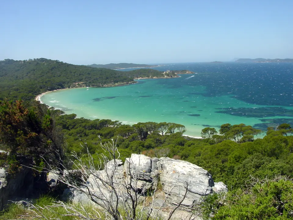 La plage Notre-Dame sur l'île de Porquerolles : sable blanc, eau turquoise et pinède